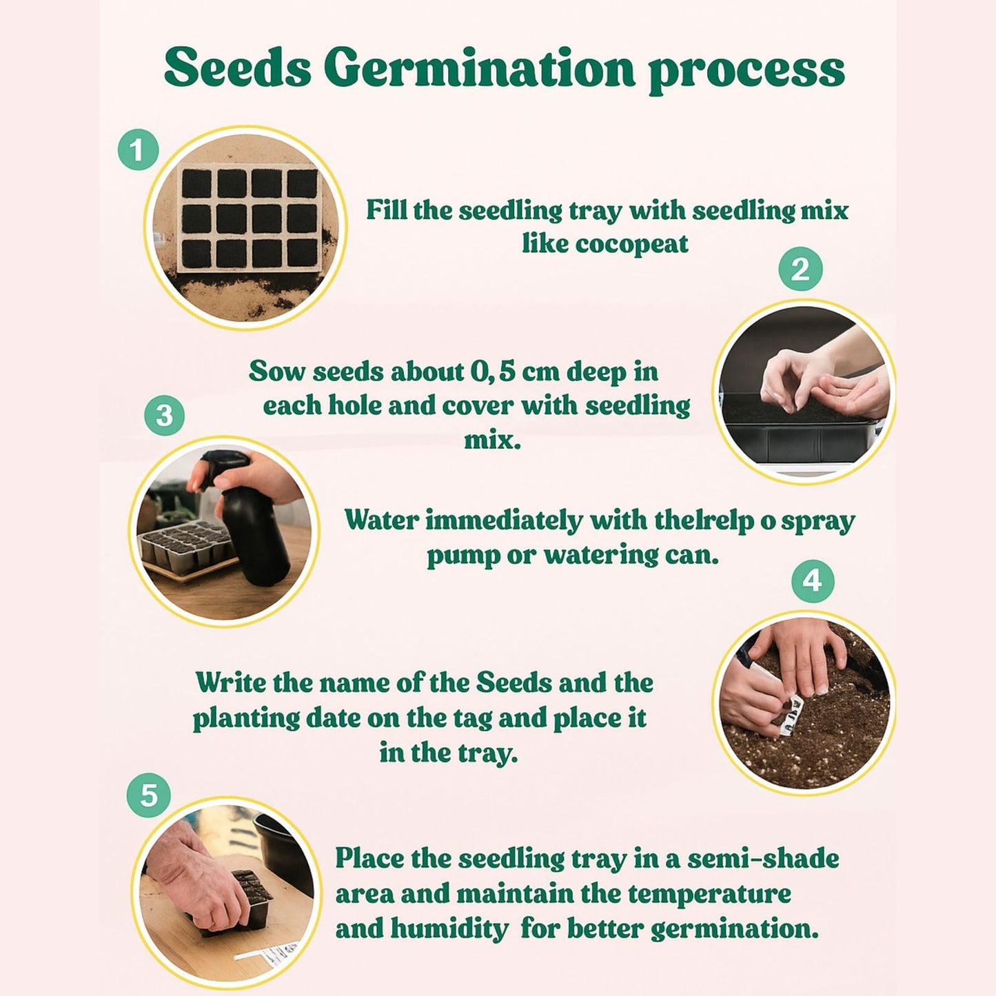 Super Elegant Colourful Rose Flowers Seeds